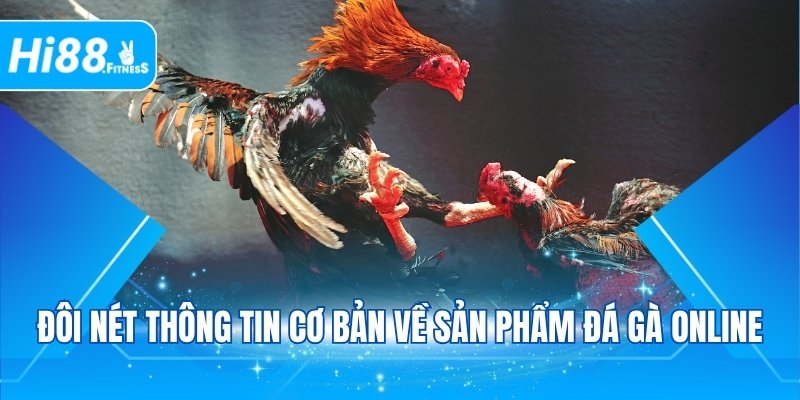 Đôi nét thông tin cơ bản về sản phẩm đá gà online