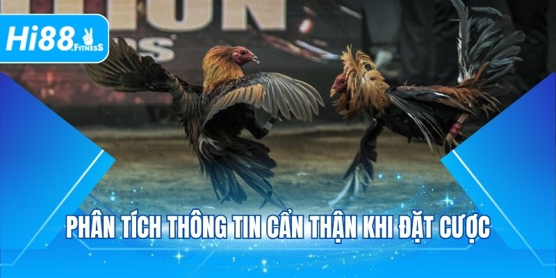 Phân tích thông tin cẩn thận khi đặt cược