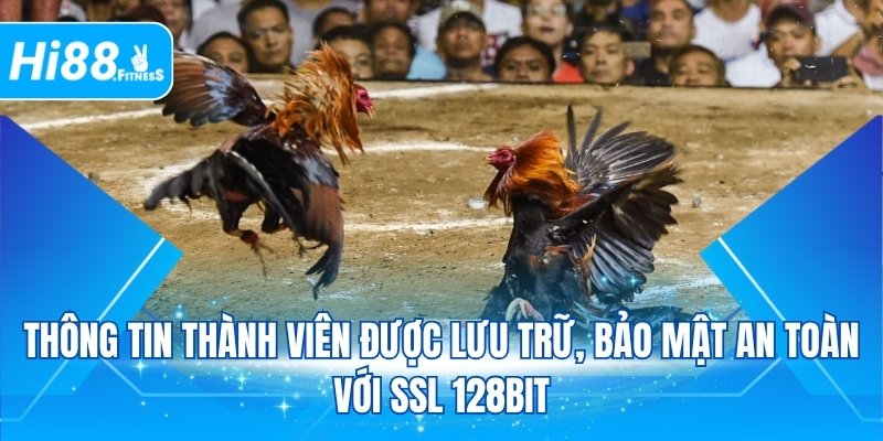 Thông tin thành viên được lưu trữ, bảo mật an toàn với SSL 128bit
