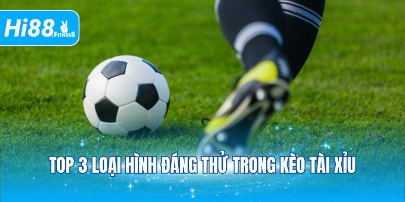 Top 3 loại hình đáng thử trong kèo tài xỉu